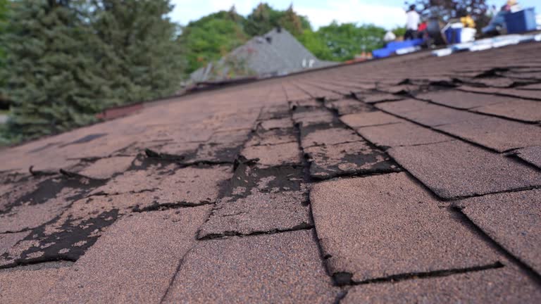 Reliable Earlville, IL Roofing Service Solutions