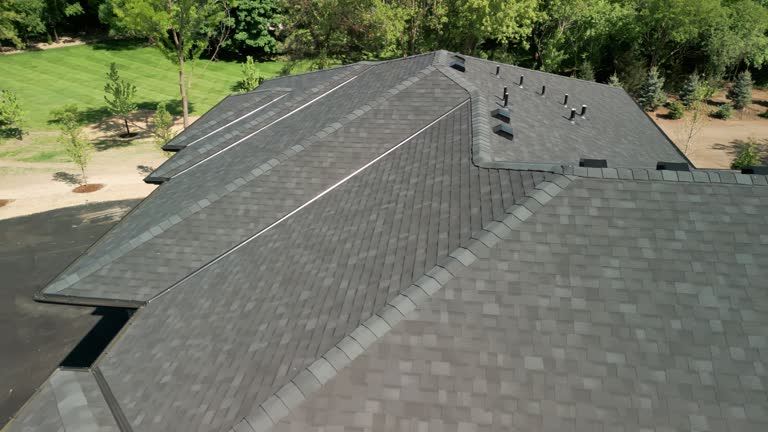 Best Roof Coating and Sealing  in Earlvle, IL