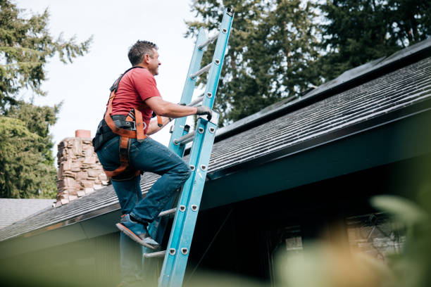 Best Skylight Installation and Repair  in Earlvle, IL