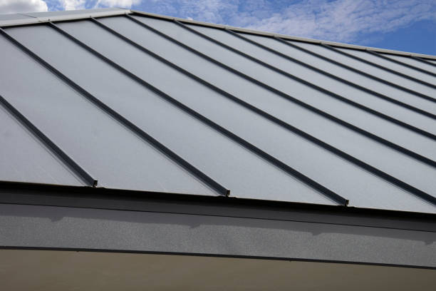 Best Sheet Metal Roofing  in Earlvle, IL