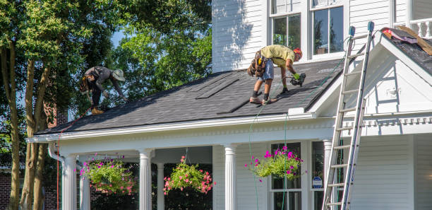 Best Chimney Flashing Repair  in Earlvle, IL